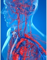 Heart & Vascular Diseases